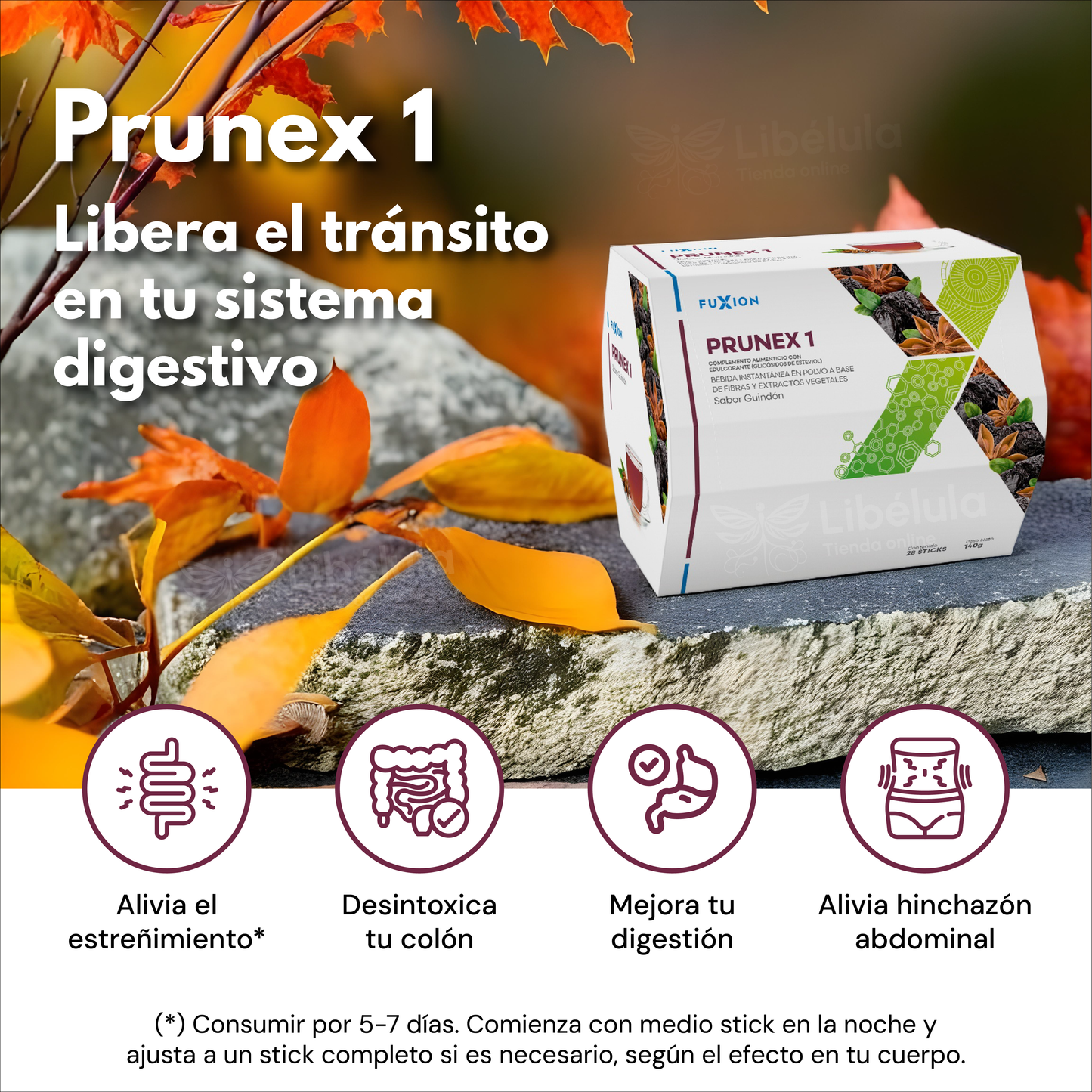PRUNEX 1 – Té sabor Guindón (Caja 28 x 5 g)