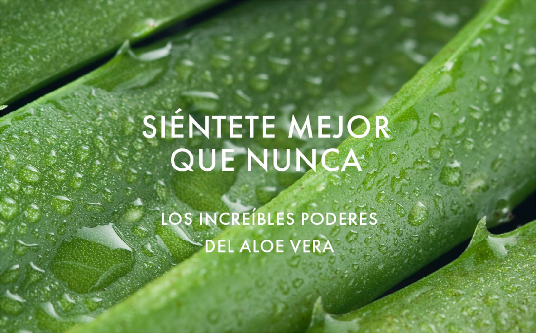 Nutriplus Aloe Glow: ¿Para qué sirve y cómo mejora tu bienestar?